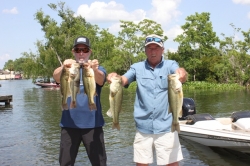 Click to view IMG_7367.JPG