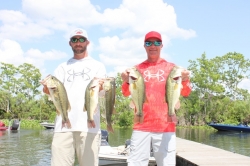 Click to view IMG_7368.JPG