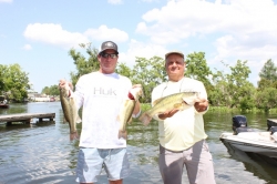 Click to view IMG_7370.JPG