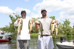 Click to view IMG_7371.JPG