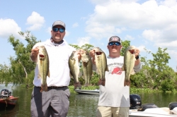 Click to view IMG_7372.JPG