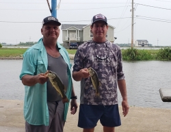 Click to view 20220626_124638.jpg