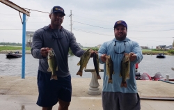 Click to view 20220626_135254.jpg