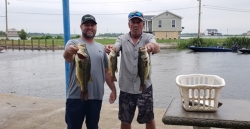 Click to view 20220626_135808.jpg