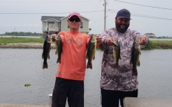 Click to view 20220626_142348.jpg