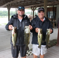 Click to view IMG_7432.JPG