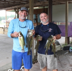 Click to view IMG_7433.JPG