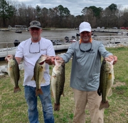 Click to view IMG_5729.jpg