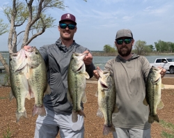 Click to view IMG_9366.jpg