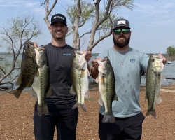 Click to view IMG_9368.jpg