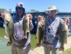 Click to view IMG_2937.jpg