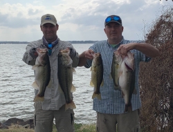 Click to view IMG_5096.jpg