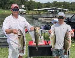 Click to view IMG_9865.jpg