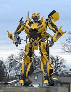 Click to view IMG_1550.JPG