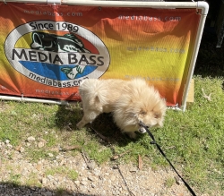 Click to view IMG_1665.JPG