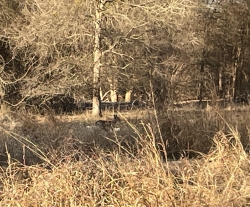 Click to view IMG_1433.JPG