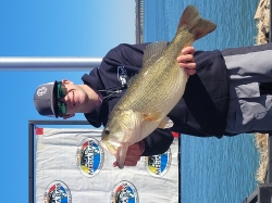 Click to view MediaIndBig.jpg