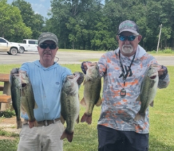 Click to view IMG_0741.jpg