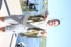 Click to view IMG_7973.JPG