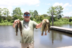 Click to view IMG_7996.JPG