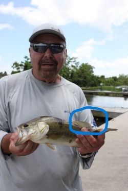 Click to view IMG_8002.JPG