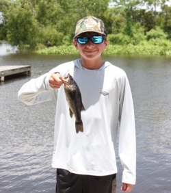 Click to view IMG_8008.JPG