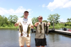 Click to view IMG_8012.JPG