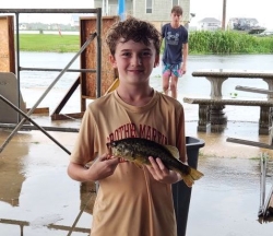 Click to view 20250713_134219.jpg