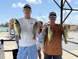 Click to view IMG_1111.JPG