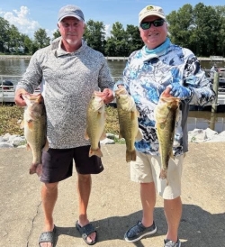 Click to view IMG_2406.jpg