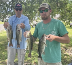 Click to view IMG_4343.jpg