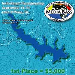 Click to view Pines.jpg