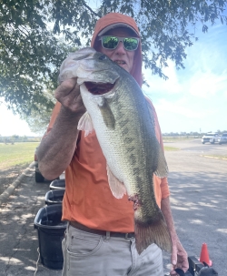 Click to view IMG_9205.jpg