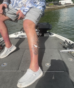 Click to view IMG_2803.jpg