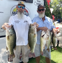 Click to view IMG_8384.JPG