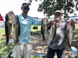 Click to view IMG_8453.JPG