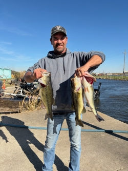 Click to view IMG_7722_1771863620526.jpg