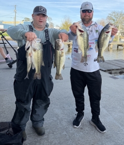 Click to view IMG_0311.JPG