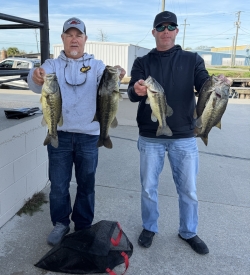 Click to view IMG_0318.JPG