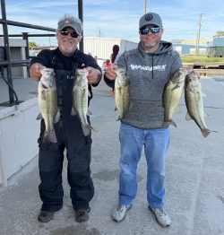 Click to view IMG_0327.JPG