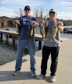 Click to view IMG_0331.JPG