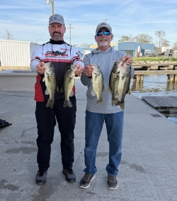 Click to view IMG_0335.JPG