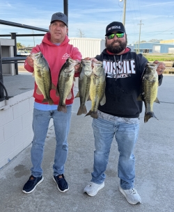 Click to view IMG_0337.JPG