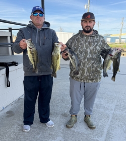 Click to view IMG_0338.JPG