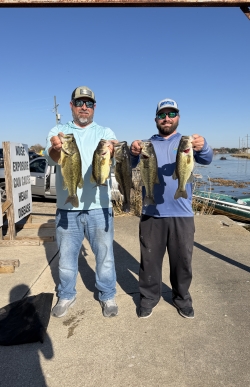 Click to view IMG_0593.jpg