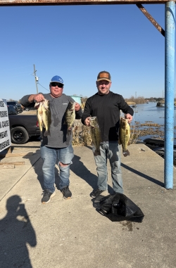 Click to view IMG_0596.jpg