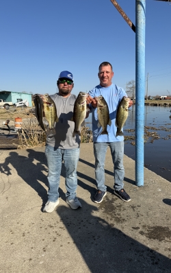 Click to view IMG_0599.jpg