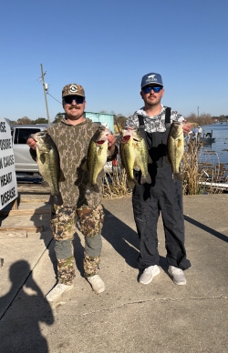 Click to view IMG_0606.jpg