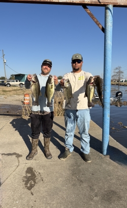 Click to view IMG_0612.jpg