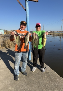 Click to view IMG_0625.jpg